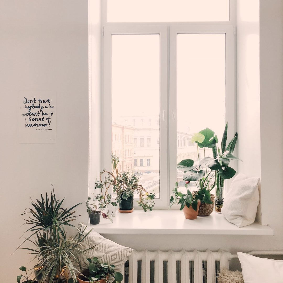 pexels-daria-shevtsova-930004